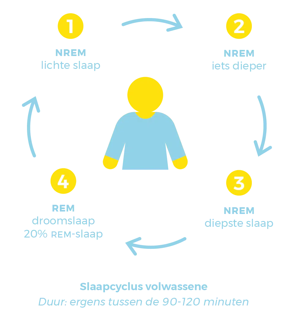 slaapcyclus volwassene - slaaptipsvoorbabys